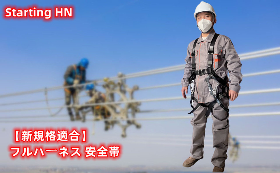 フルハーネス 新規格 セット 墜落制止用器具