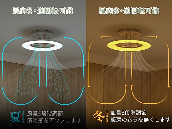 Amazon.co.jp : ORALUCE シーリングファンライト 10畳 ファン