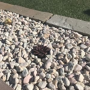 Amazon 花壇の石 花壇 石 庭 サンドベージュ 庭石 ガーデニング ストーン ブロック 花壇用石 自然石 4個 石材 Amazon 花壇の石 花壇 石 庭 サンドベージュ 庭石 ガーデニング ストーン ブロック 花壇用石 自然石 4個 石材