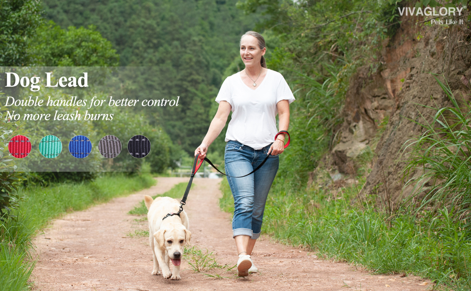 Vivaglory Padded Handle Dog Lead, Heavy Duty 4ft Long Double Handle Lead Reflective Safety