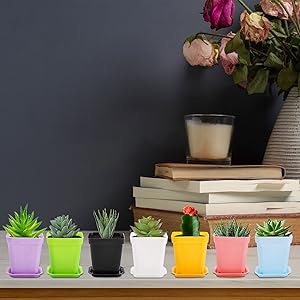 supreme mini planters Multicolor 新品 Supreme Mini Planters (Set of 3) (SS25) - $48
