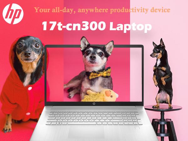 Amazon.com: HP Essential 2025 Business Laptop, 17.3