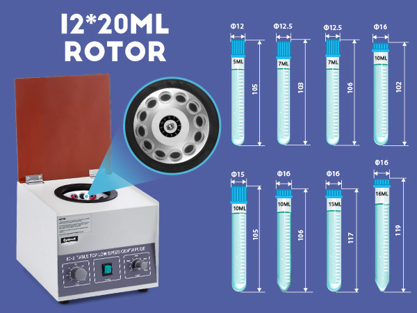 Saudade② REWIND × 02 DESIGN LABORATORY Retired in 2024*** Golden Designs 