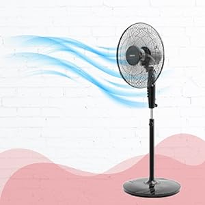 Standing Fan