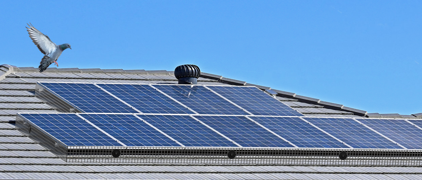Solar Panel Bird Guard