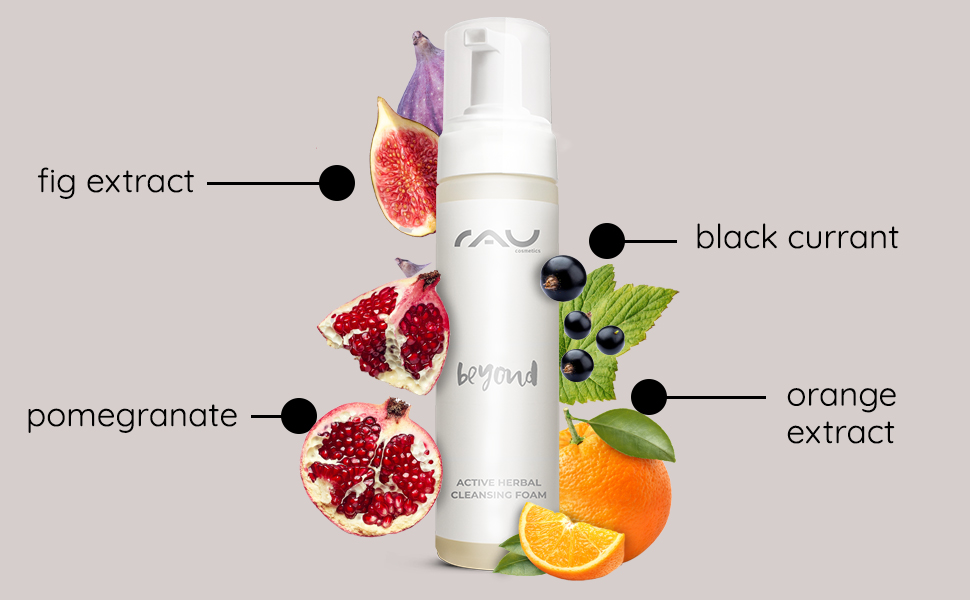 rau cosmetics beyond active herbal cleansing foam natural cosmetics soothing cleanser sensitive skin