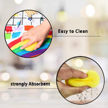 GIVEAWAY - CLEANING SPONGE