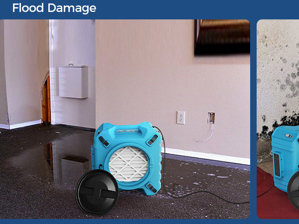 air scrubbers for home