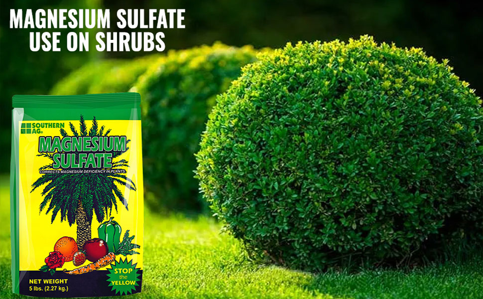 Premium Magnesium Sulphate for Plant Growth Southern Ag