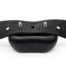 bark collar for small dogs
