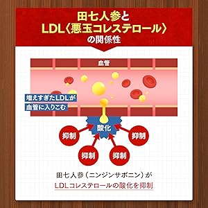 新春大バーゲンセール！今がチャンス、風邪、インフルエンザ予防に！田七人参！ 新春大バーゲンセール！今がチャンス、風邪、インフルエンザ予防