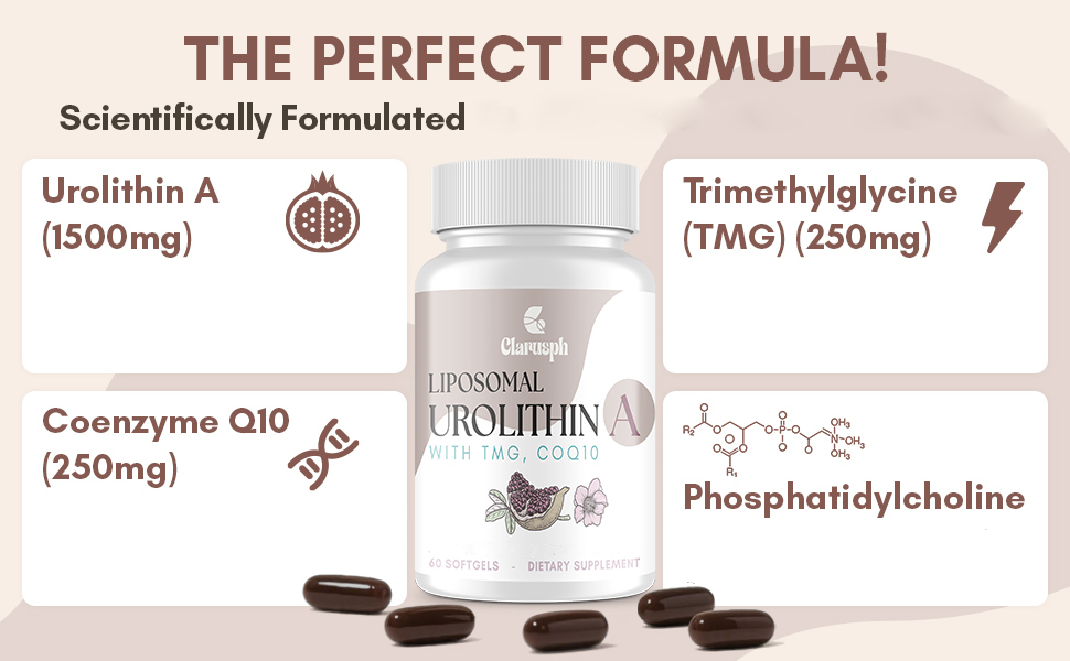Liposomal Urolithin A