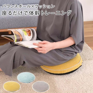 シェイプアップ座布団 楽天市場】楽天1位 骨盤矯正 椅子 姿勢矯正 クッション グッズ