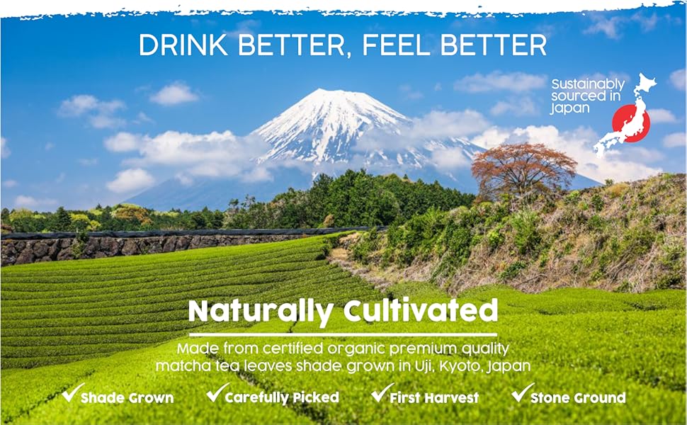 shade grown green tea leaves of first harvest sourced from Japan.