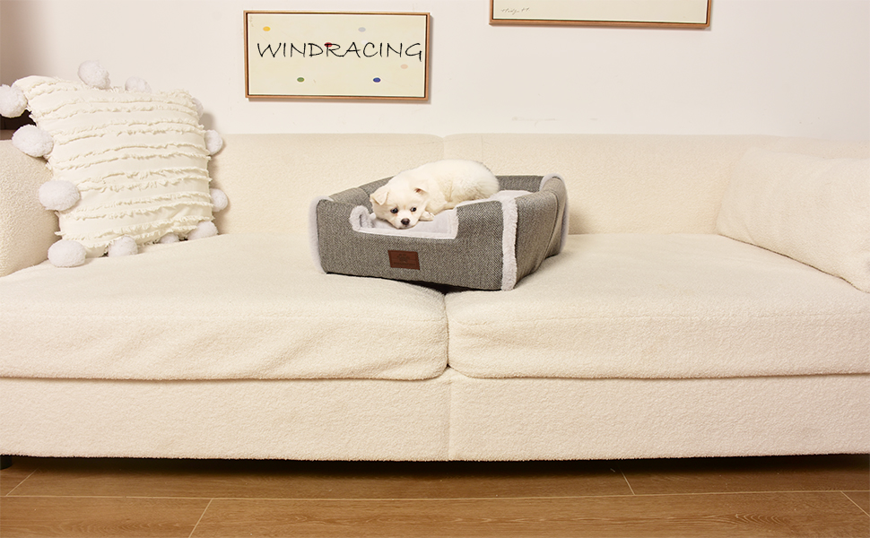 cat bed