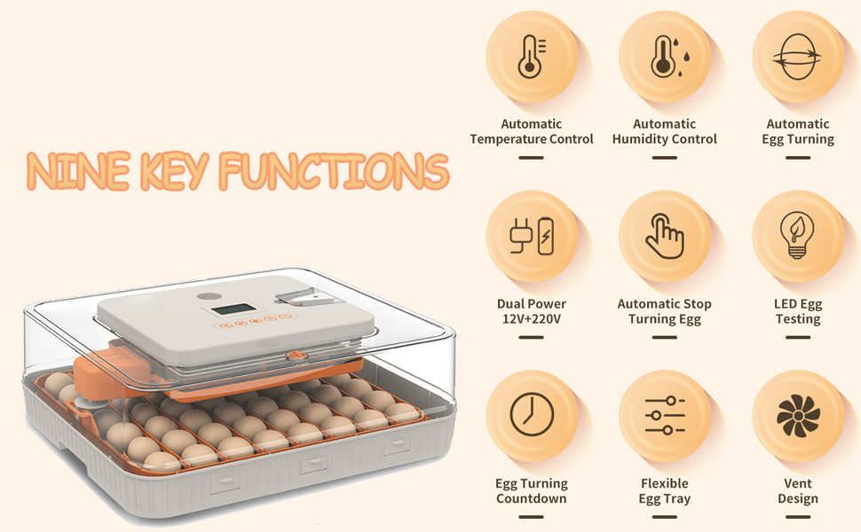 egg incubator with automatic egg turning and humidity control