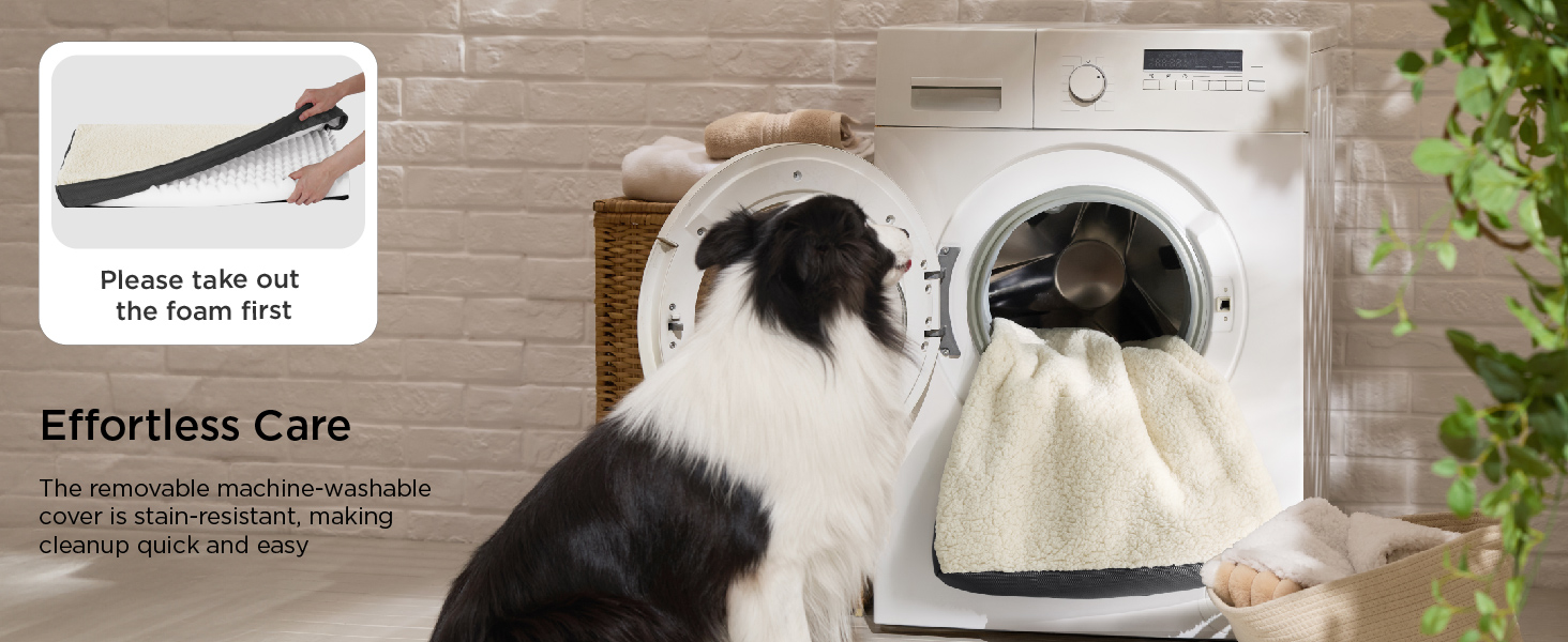 dog bed