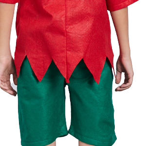 Kids Holiday Elf Costume