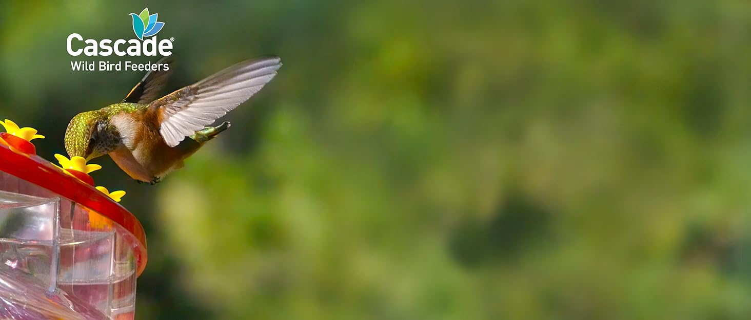 Genuine Cascade® Helix™ Amethyst™ 16Port Hummingbird