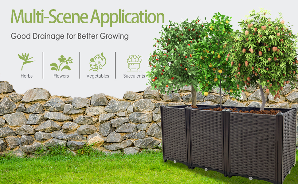 Souwuokoo Vegetables Tomato and Herbs Patio, Lawn & Garden