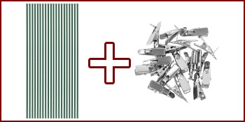 Christmas Poinsettia Flowers