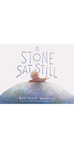 A Stone Sat Still
