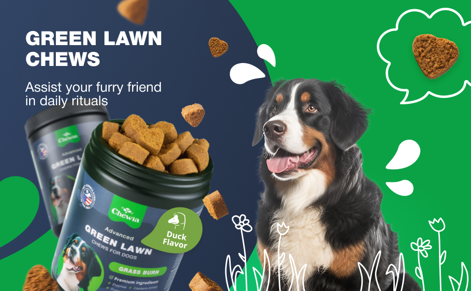 chews for dogs
