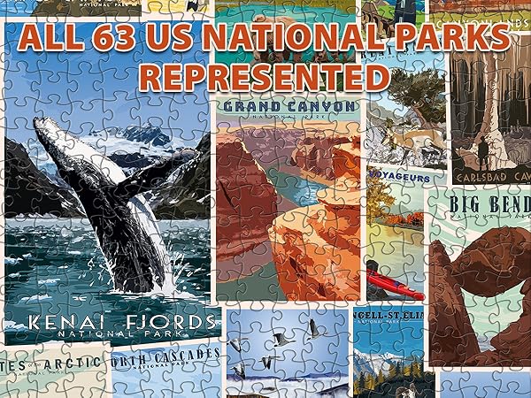 Amazon.com: 1000 Piece Jigsaw Puzzle - National Parks Puzzle