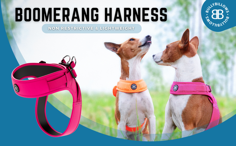 Dog Harness harnesses Lightweight Neoprene 