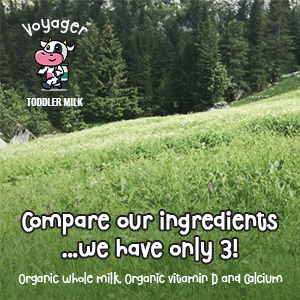 lactose ease drinks para bebe aptimal jumbo promil parents choice