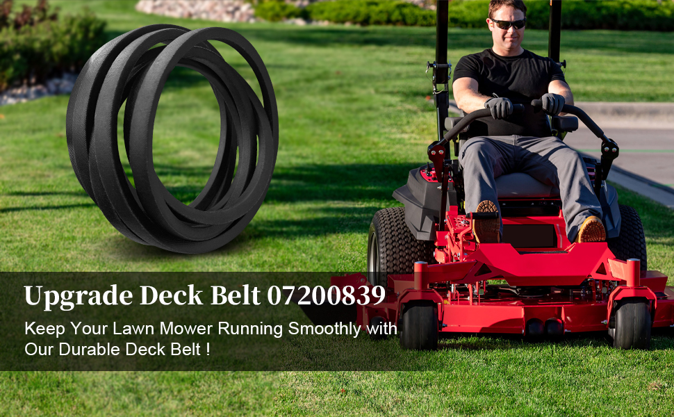 The Field Description 3冊 ZX81 Keyboard Adventure: Peeking into the ZX81s Screen Maze