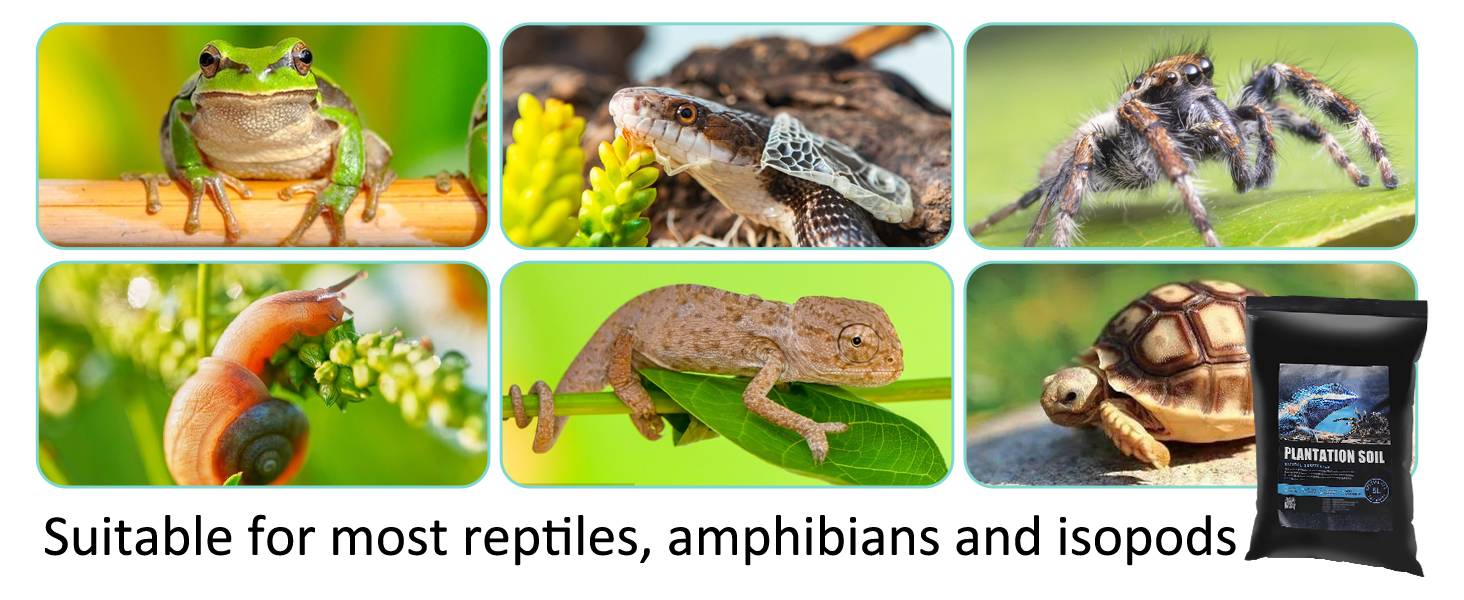 reptile bedding coconut fiber coconut fiber substrate reptiles coco fiber pots