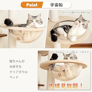 Amazon | 【なになにLife】 キャットタワー 木製に生地張り 大型
