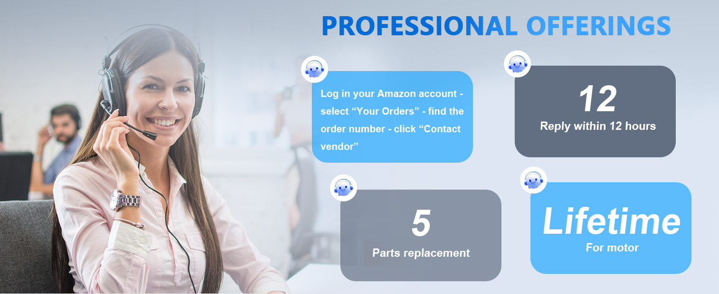 Text reads 'PROFESSIONAL OFFERINGS' followed by '12', '5', and 'Lifetime' in blue and gray infographic-style elements showing business service features.