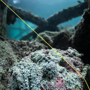 Small manufacture image 4