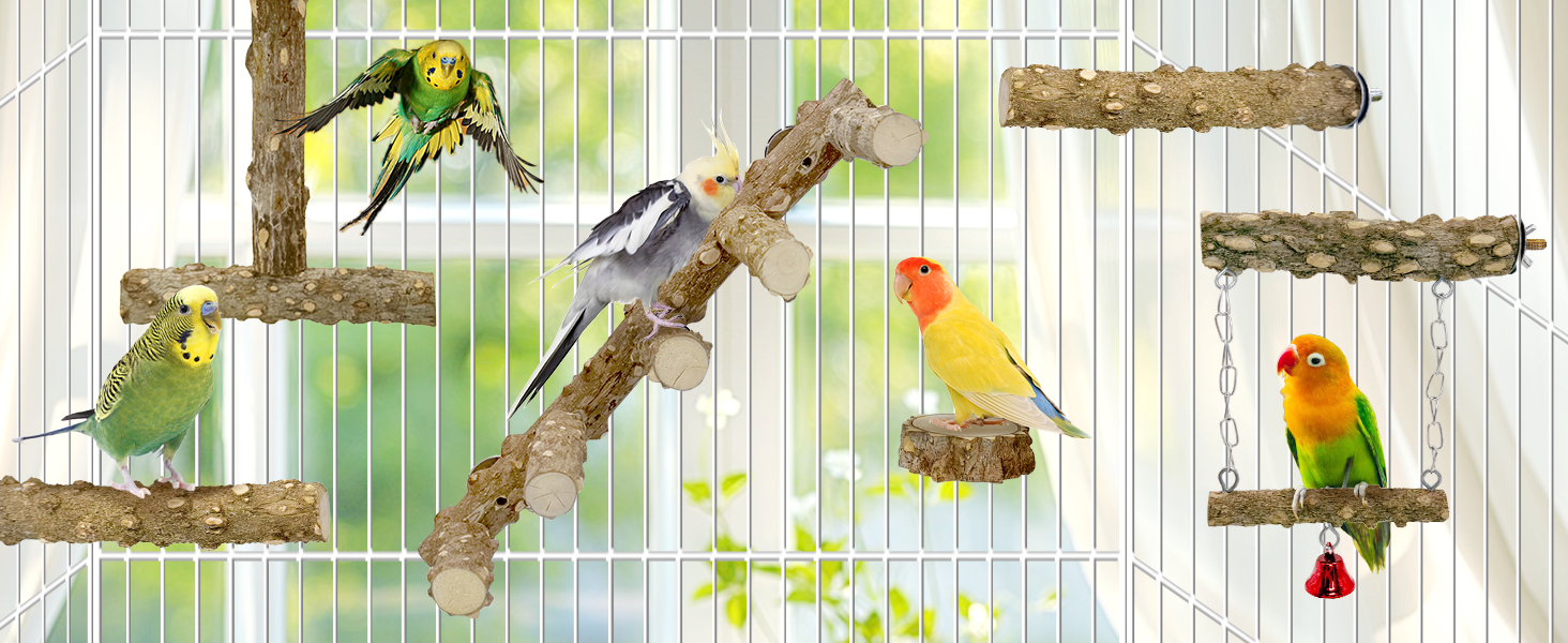 5-step bird ladder, climbing & grooming. Parrots exercise via ascents/jumps while filing beaks/claws