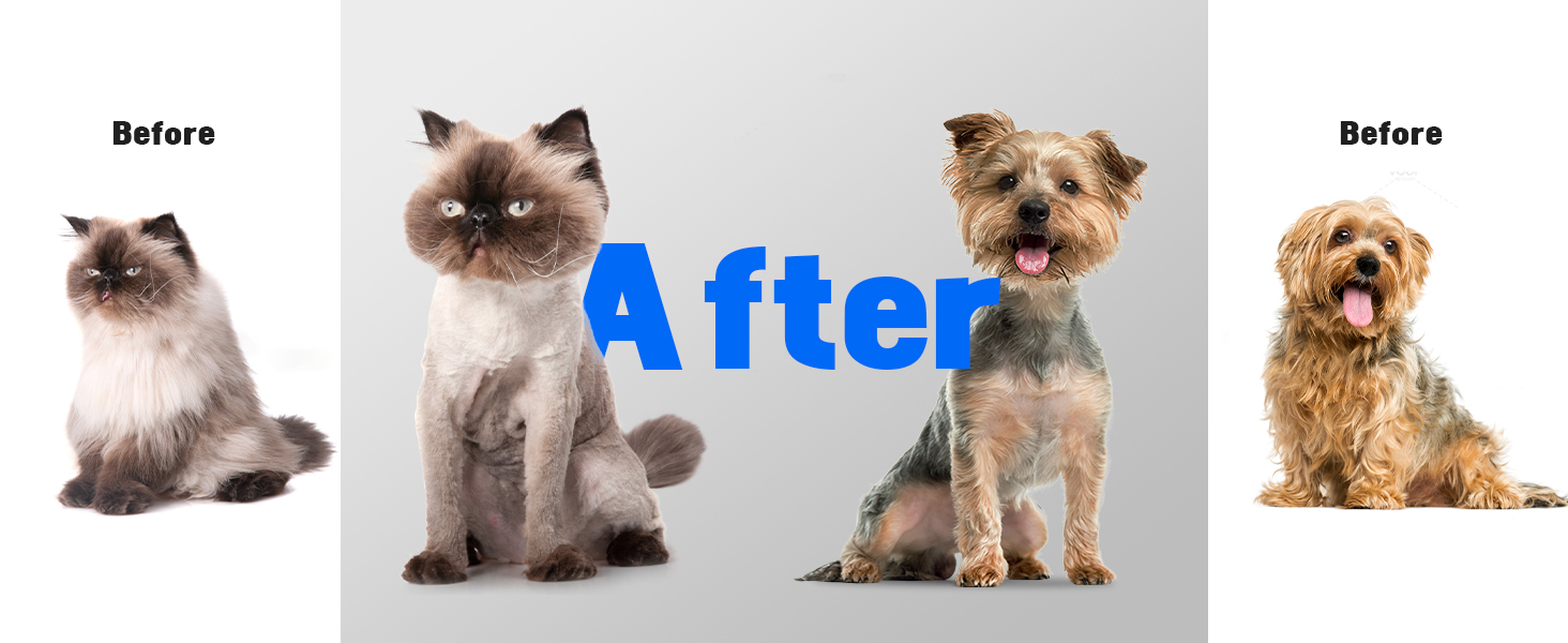 cat clippers for matted hair