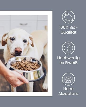 Hund mit Schüssel