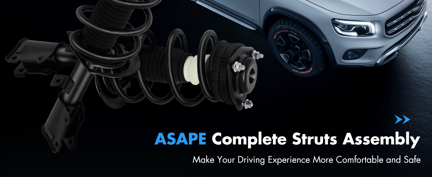 Complete Struts Assembly