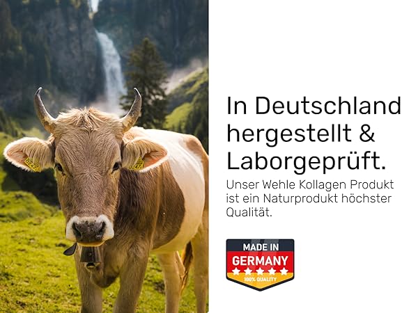 Braune Kuh auf alpiner Wiese mit Wasserfall-Hintergrund, begleitet von deutschem Text und Zertifizierungsabzeichen „Made in Germany“