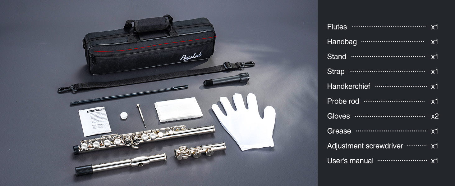 POGOLAB Flutes, Closed Hole C 16 Keys Flute Instrument, Student Flute for Beginner