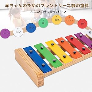 Amazon.co.jp: Rxakudedo 鉄琴 カラフル ミュージカル教材