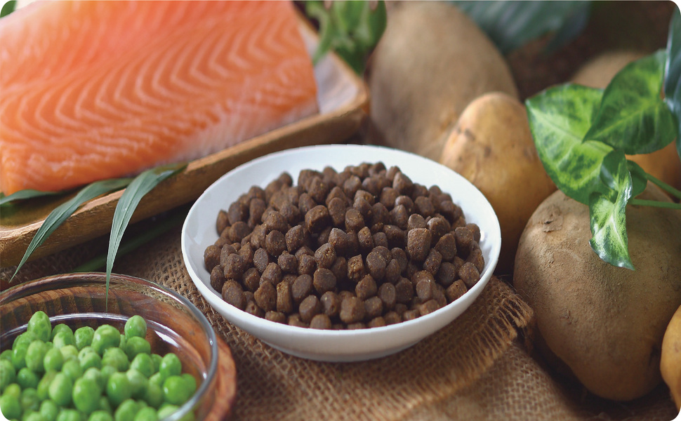 Amazon.co.jp: サンライズ ナチュラハ グレインフリー