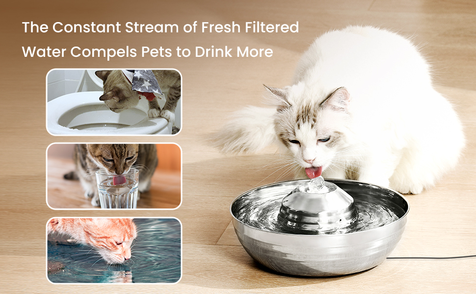 Cat Water Fountain, Pet Fountain Stainless Steel, 2L Cat Water