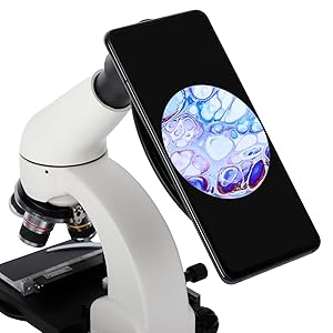 Small manufacture image 5