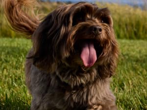 Small manufacture image 6