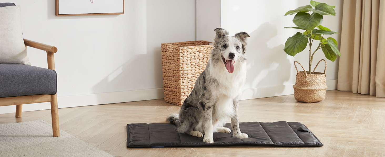PET COOLING BED