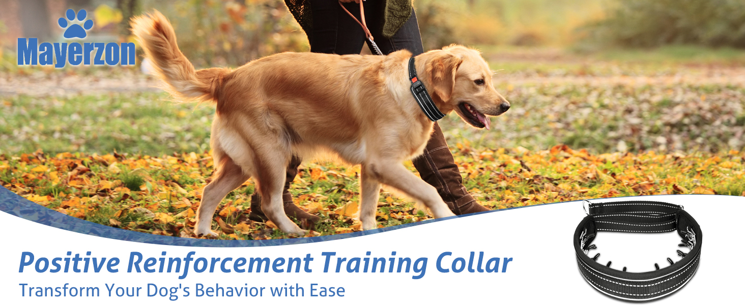 Mayerzon Martingale No Pull Dog Collar for Medium Large