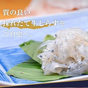 しらすといくら しらすといくら 極上しらす 商品詳細｜丸八加藤商店｜新鮮な海産物を