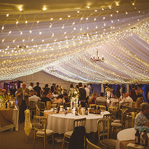 net lights indoor